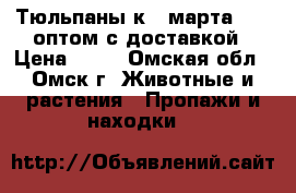 Тюльпаны к 8 марта 2017 оптом с доставкой › Цена ­ 25 - Омская обл., Омск г. Животные и растения » Пропажи и находки   